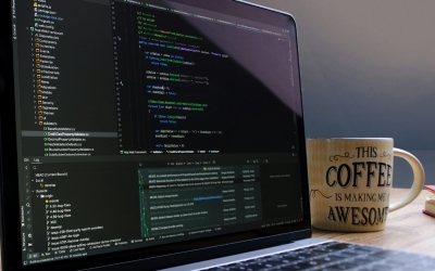 Custom Web Development